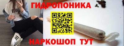 гашик Кандалакша