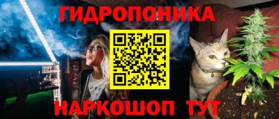 гашик Кандалакша