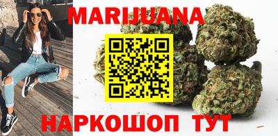 гашик Кандалакша