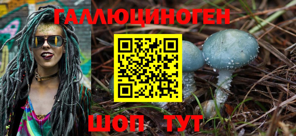 Галлюциногенные грибы MAGIC MUSHROOMS Камень-на-Оби