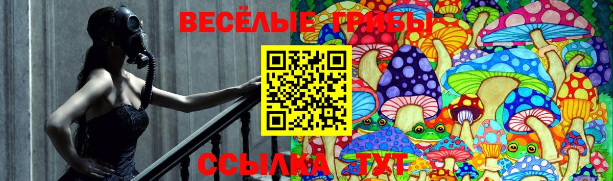 Галлюциногенные грибы ЛСД  Вход с VPN  Камень-на-Оби 